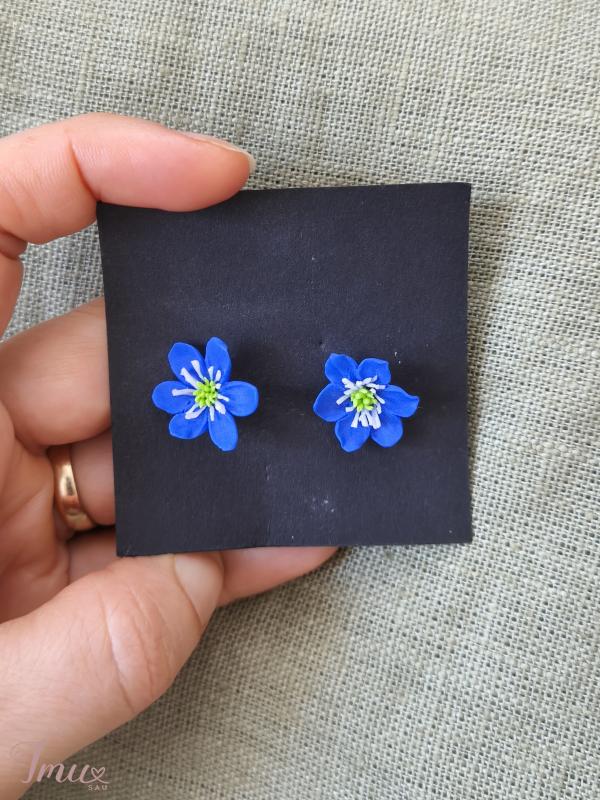 imusau.lt | parduodama Auskarai žibutės