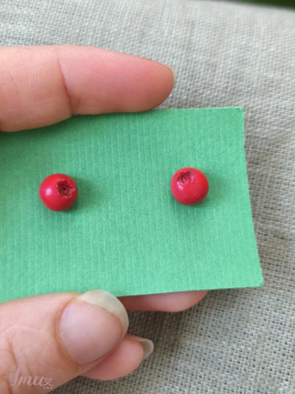 imusau.lt | parduodama Auskarai spanguolės