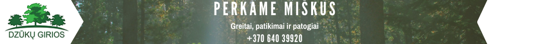 Superkame miškus 864039920