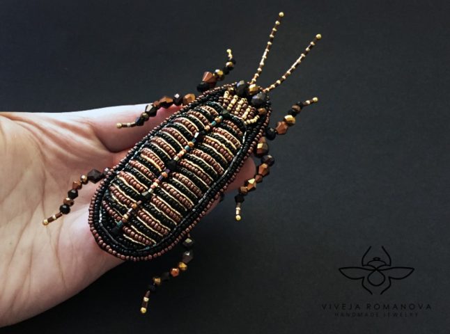 imusau.lt | listing Amber cockroach