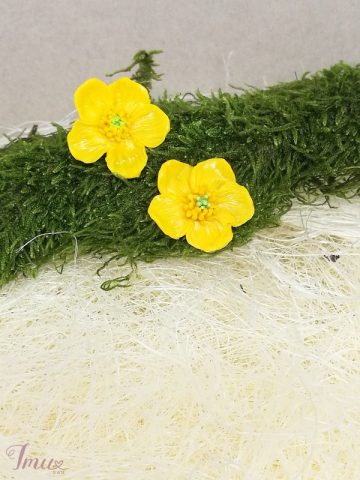 imusau.lt | parduodama auskarai purienos