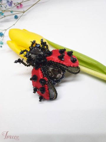 imusau.lt | listing Sagė LadyBird Boružė