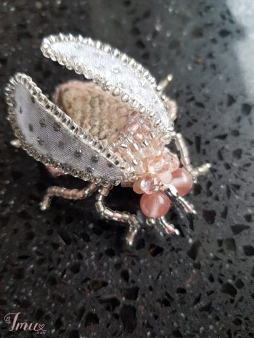 imusau.lt | listing sagė- vabalas rožinis