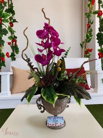 imusau.lt | listing Raudona aguona