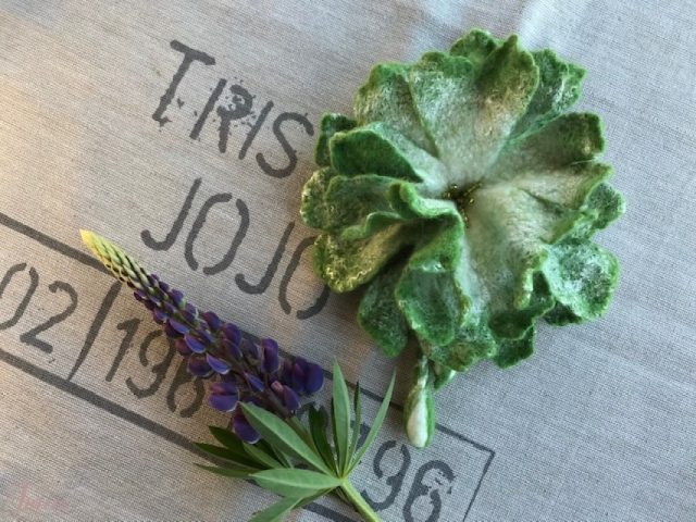 imusau.lt | parduodama Sagė - gėlė, velta