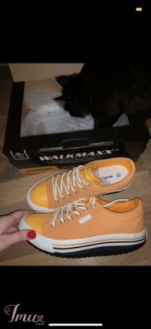 imusau.lt | parduodama Walkmaxx kedai