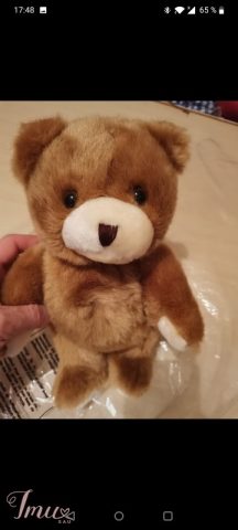 imusau.lt | listing Meškiukas