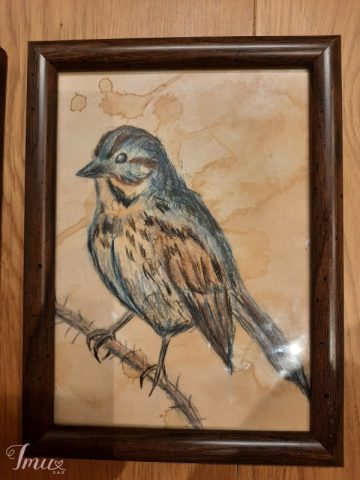 imusau.lt | parduodama Paveikslėliai