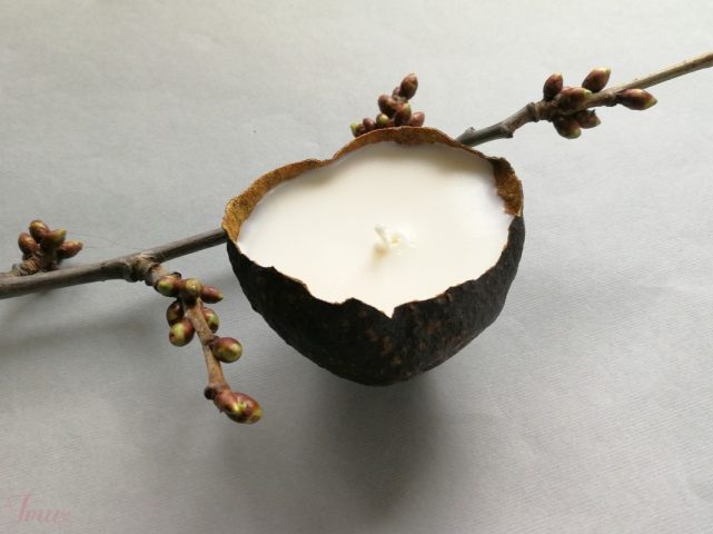 imusau.lt | parduodama Sojų vaško žvakė