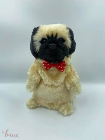 imusau.lt | parduodama Kalbantis ir judantis šuniukas