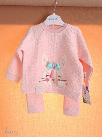 imusau.lt | parduodama Santa Jočytė