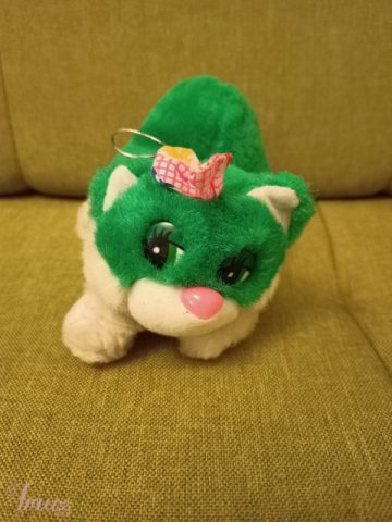 imusau.lt | listing Žalios spalvos kačiukas