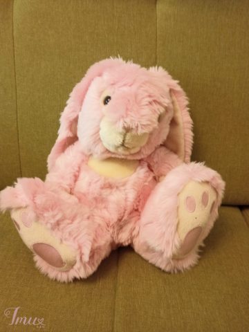 imusau.lt | listing Rožinis zuikis