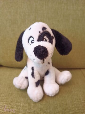 imusau.lt | listing Pliušinis dalmantinas