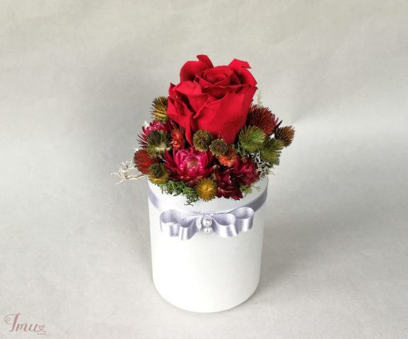 imusau.lt | parduodama Mieganti raudona rožė