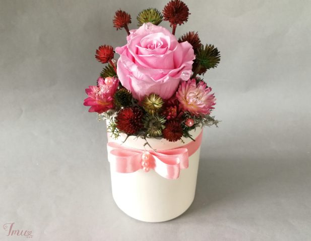 imusau.lt | parduodama Mieganti rožė