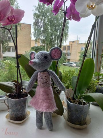 imusau.lt | parduodama pelytė ilganosė