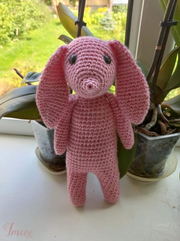 imusau.lt | parduodama triušis