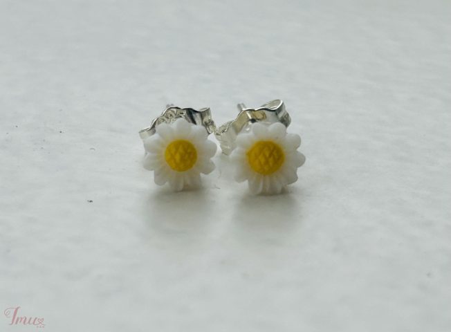 imusau.lt | parduodama Ranku darbo auskariukai