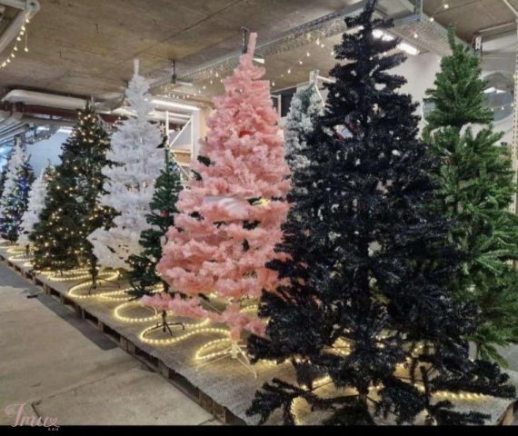 imusau.lt | parduodama Nuostabaus grožio kalėdinės eglutės