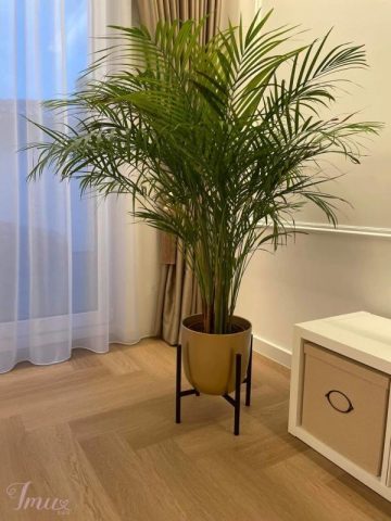 imusau.lt | listing gėlių stovas