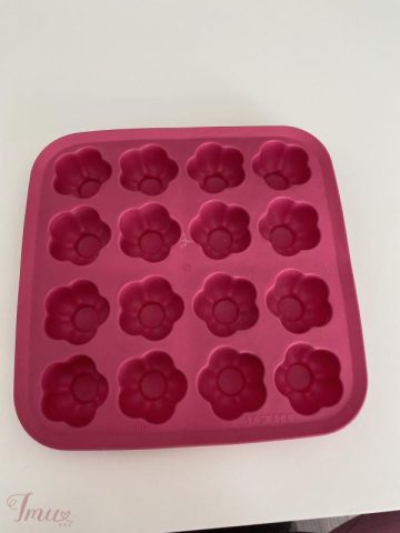 imusau.lt | listing ledukų formele