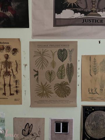 imusau.lt | parduodama Plakatas Poster